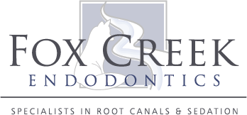 Link to Fox Creek Endodontics home page